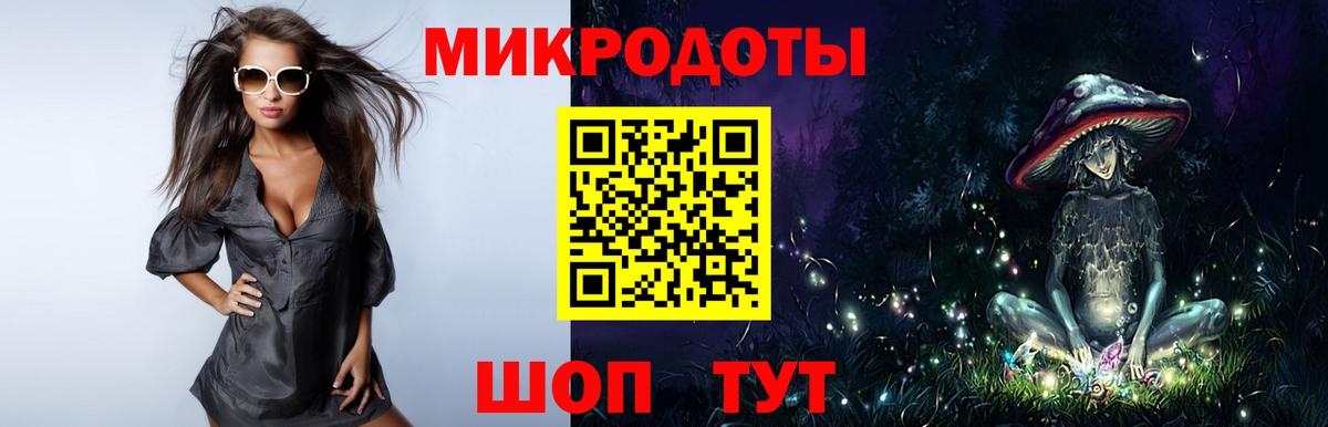 Галлюциногенные грибы Psilocybe Свободный