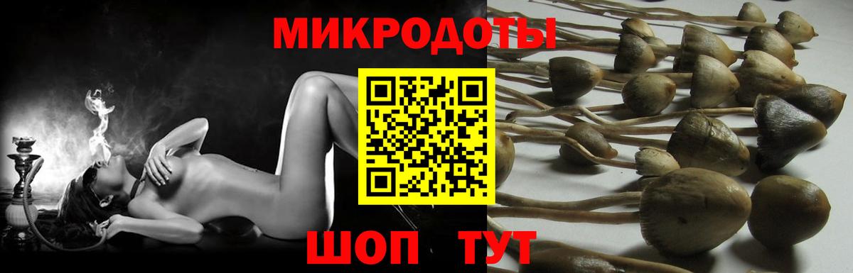 Свободный  Галлюциногенные грибы Cubensis  Вход с VPN 